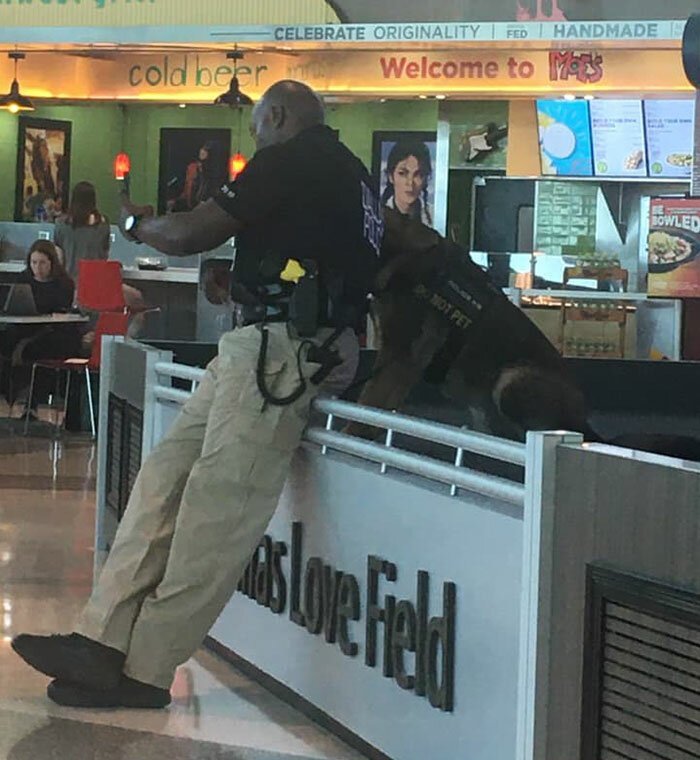 Фотография: Девушка заметила, как полицейский в аэропорту делает селфи со служебной собакой №4 - BigPicture.ru