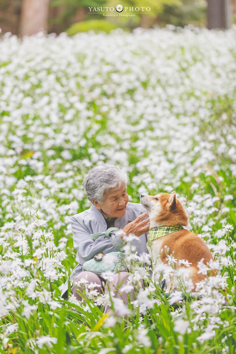трогательные снимки бабушки и собаки