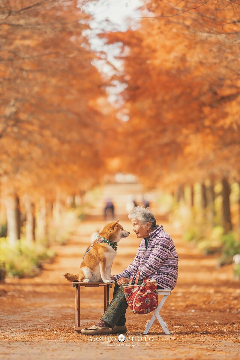 трогательные снимки бабушки и собаки