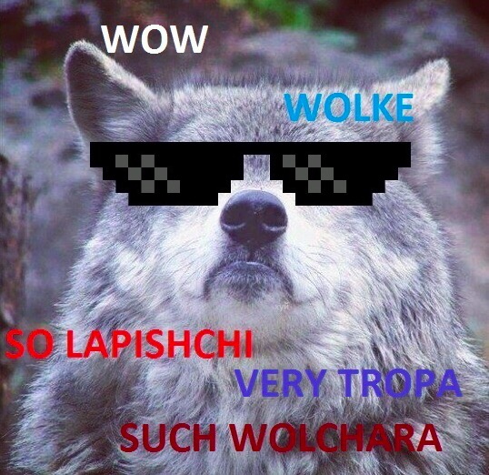 Фотография: Знаменитый мем про шерстяного волчару 