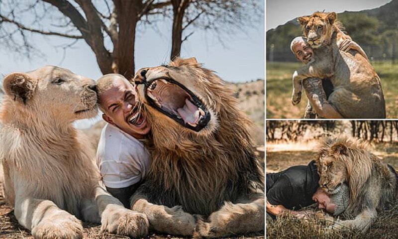 Фотография: Обнимая львов: Дин Шнайдер, швейцарский финансист, который бросил все и уехал в Африку №1 - BigPicture.ru