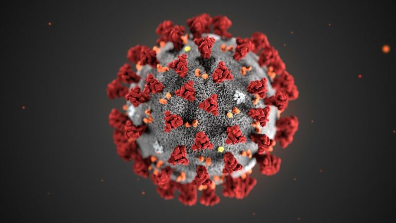 Фотография: 5 самых безумных теорий появления коронавируса №1 - BigPicture.ru
