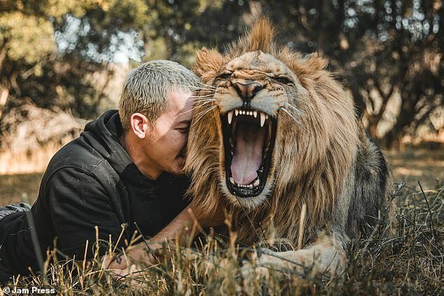 Фотография: Обнимая львов: Дин Шнайдер, швейцарский финансист, который бросил все и уехал в Африку №13 - BigPicture.ru