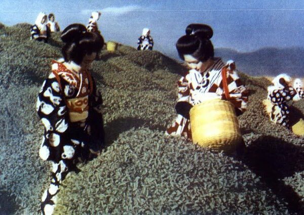 Цветные фотографии Японии начала 1950-х