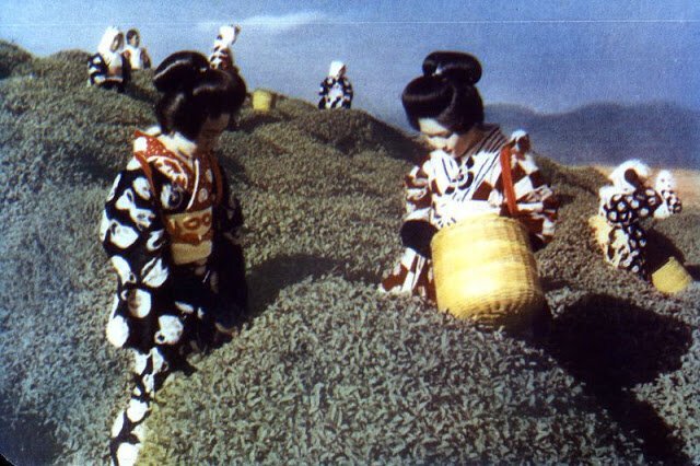Фотография: Цветные фотографии Японии начала 1950-х №1 - BigPicture.ru