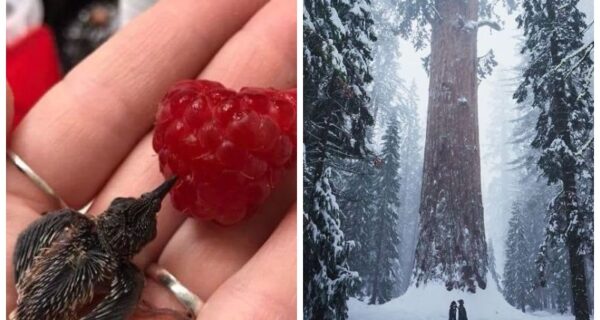 20 фото, которые доказывают, что все в этом мире относительно