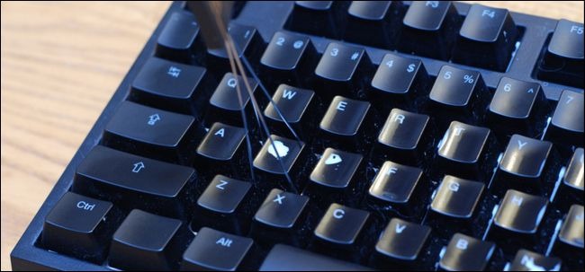 Фотография: Чистота — залог здоровья: как правильно продезинфицировать мышку и клавиатуру №6 - BigPicture.ru