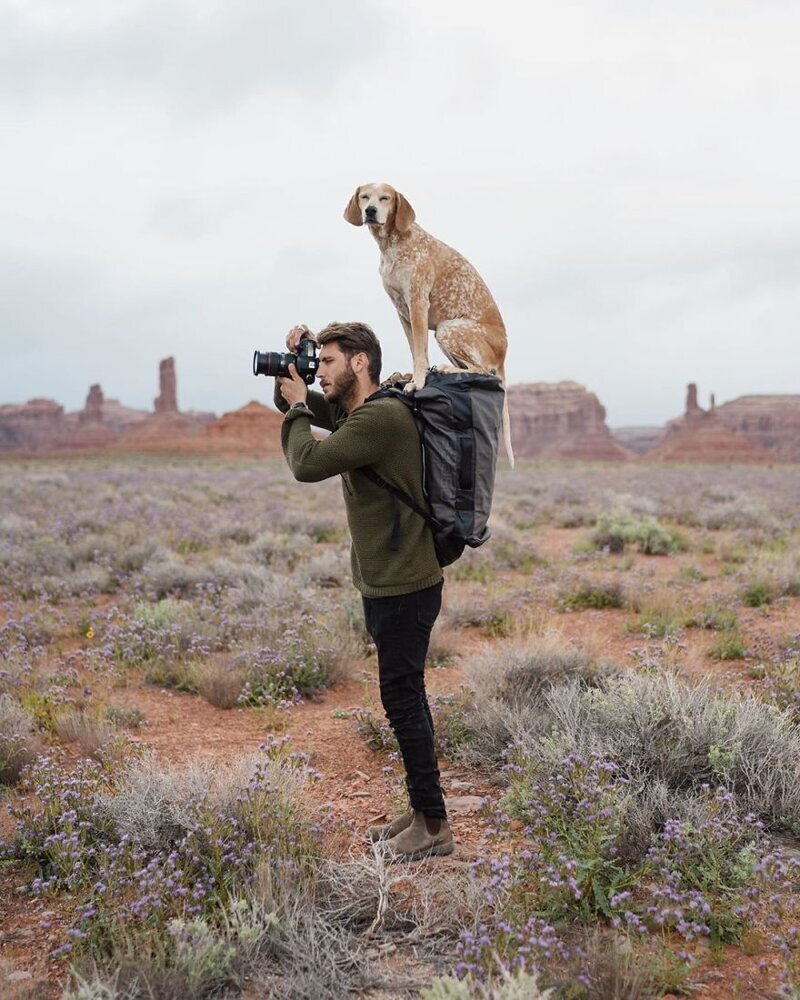 Фотография: Как путешествуют фотограф Терон Хамфри и его собака Мэдди №2 - BigPicture.ru