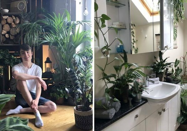 Джунгли зовут: как живется в квартире полной комнатных растений