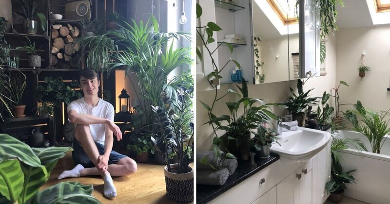 Фотография: Джунгли зовут: как живется в квартире полной комнатных растений №1 - BigPicture.ru