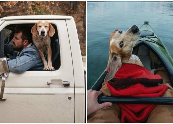 Как путешествуют фотограф Терон Хамфри и его собака Мэдди