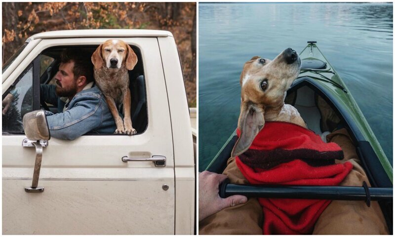Фотография: Как путешествуют фотограф Терон Хамфри и его собака Мэдди №1 - BigPicture.ru