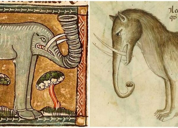 Чудище носатое: как в Средневековье рисовали слонов