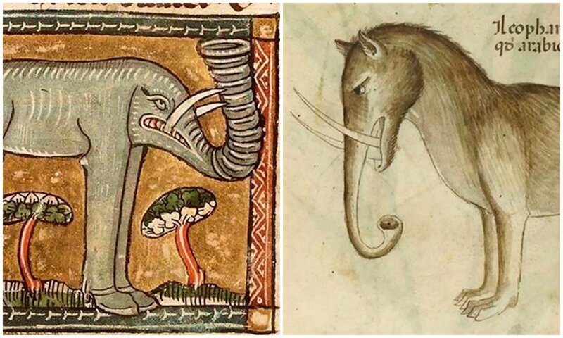 Фотография: Чудище носатое: как в Средневековье рисовали слонов №1 - BigPicture.ru