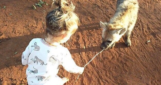 Фотография: Как 2-летняя малышка подружилась с дикими гиенами №2 - BigPicture.ru