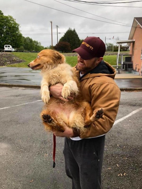 Фотография: Собака, спасшая семью во время торнадо, вернулась домой через два месяца №9 - BigPicture.ru