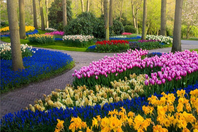 Фотография: Как выглядит самый красивый парк тюльпанов Кёкенхоф без единого посетителя №12 - BigPicture.ru