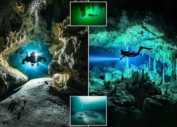 Дайвер рискует жизнью, делая потрясающие снимки подводных пещер в Мексике