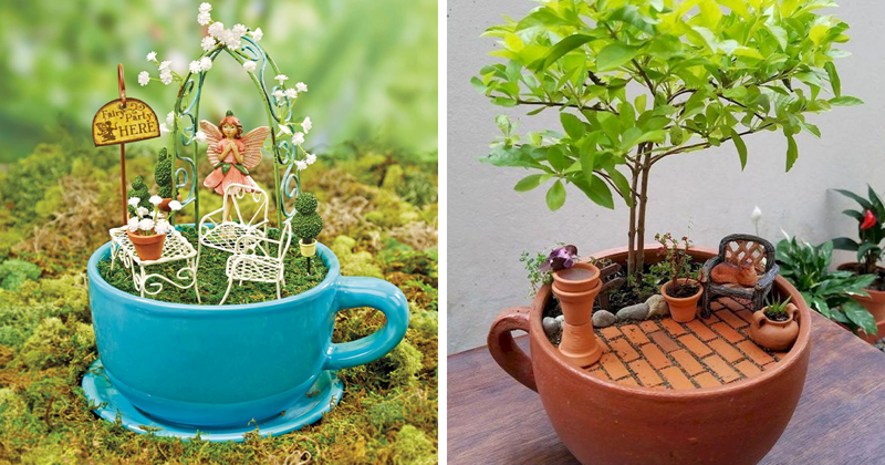 Фотография: Как сделать сад в чайной чашке: 25 креативных идей №1 - BigPicture.ru