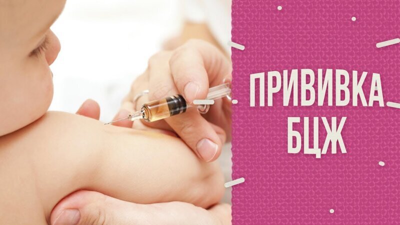 Фотография: Братство, объединенное шрамами: от каких болезней делают прививки №16 - BigPicture.ru
