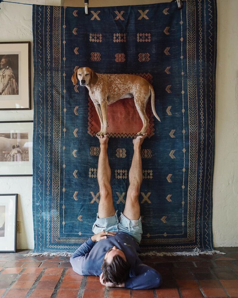 Фотография: Как путешествуют фотограф Терон Хамфри и его собака Мэдди №11 - BigPicture.ru