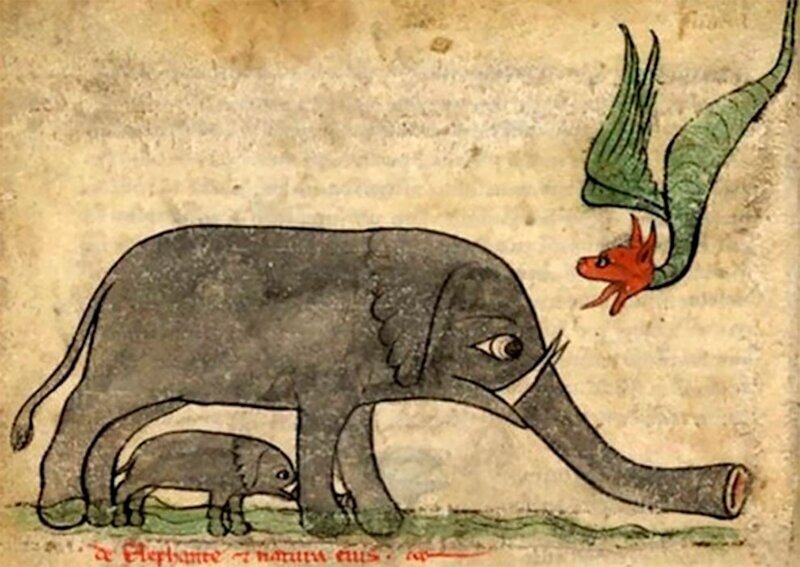 Фотография: Чудище носатое: как в Средневековье рисовали слонов №9 - BigPicture.ru