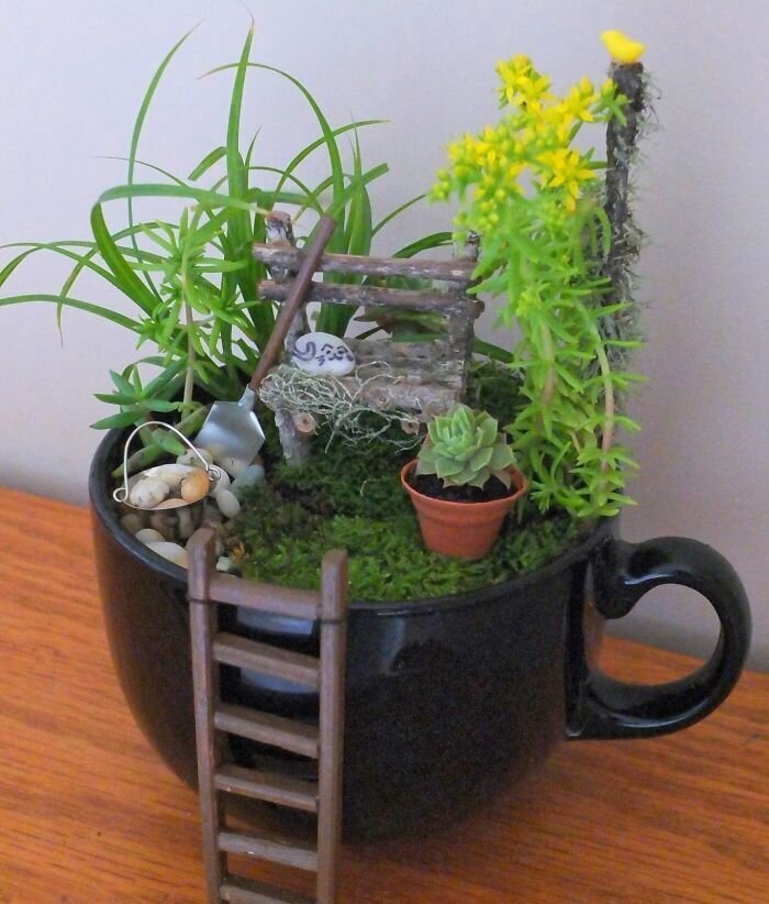 Фотография: Как сделать сад в чайной чашке: 25 креативных идей №15 - BigPicture.ru