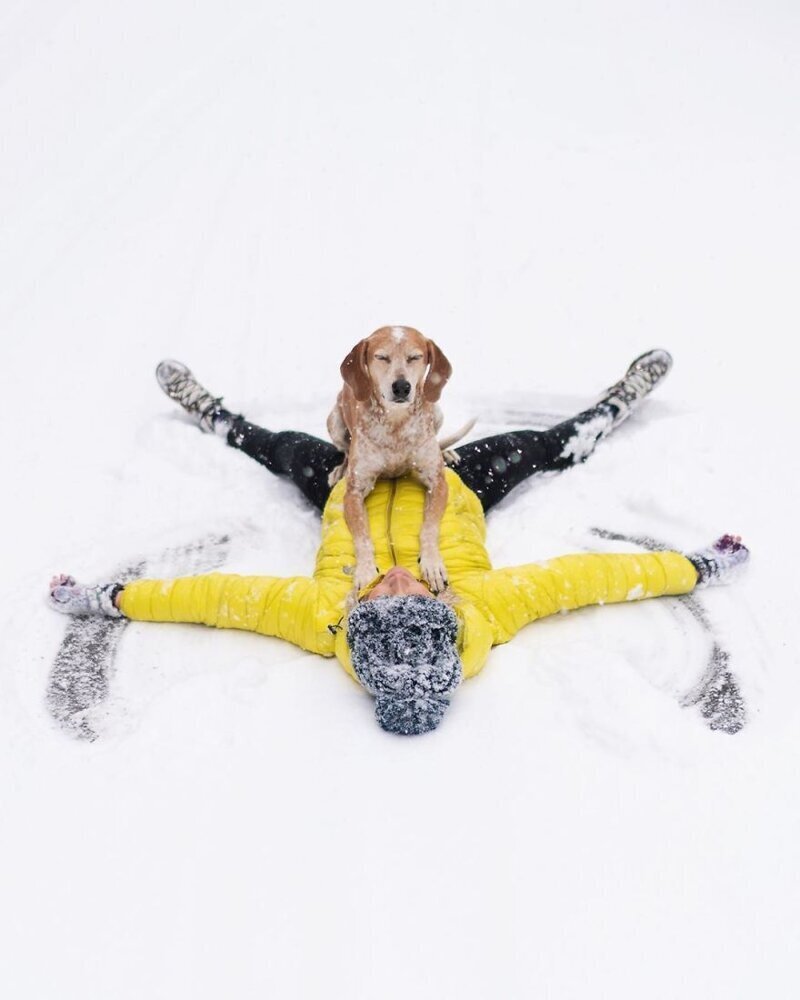 Фотография: Как путешествуют фотограф Терон Хамфри и его собака Мэдди №27 - BigPicture.ru