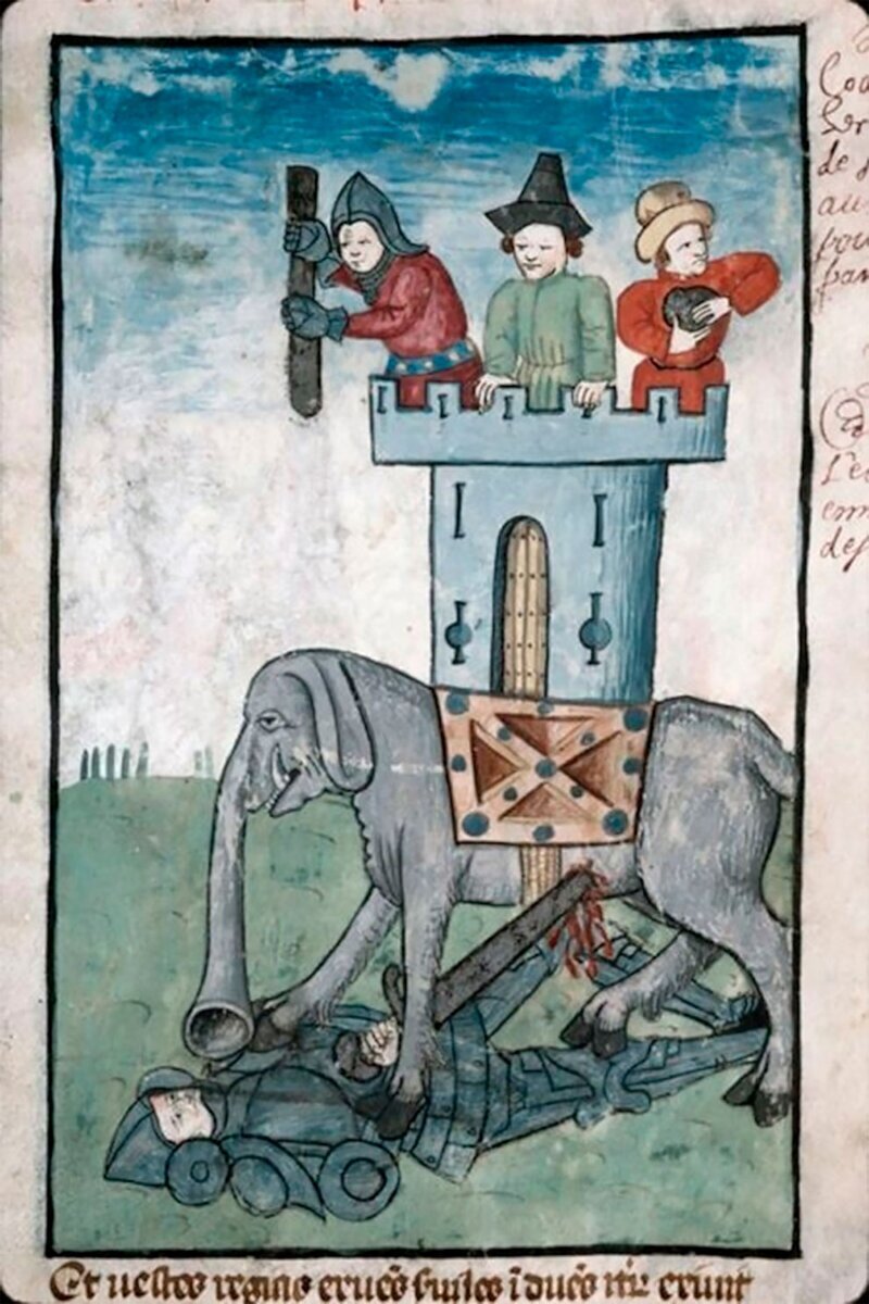 Фотография: Чудище носатое: как в Средневековье рисовали слонов №10 - BigPicture.ru