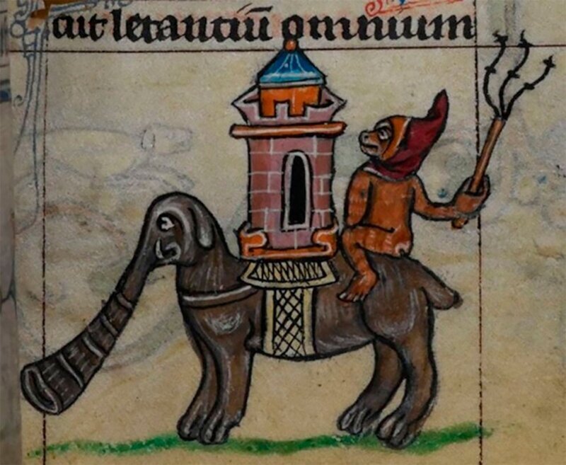 Фотография: Чудище носатое: как в Средневековье рисовали слонов №11 - BigPicture.ru