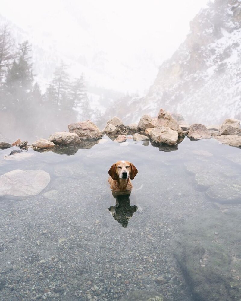 Фотография: Как путешествуют фотограф Терон Хамфри и его собака Мэдди №10 - BigPicture.ru