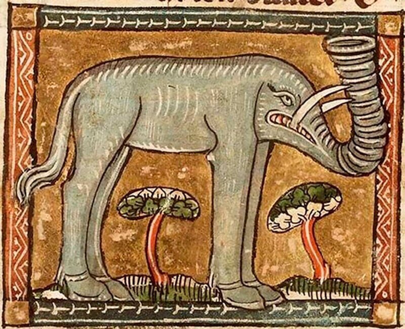 Фотография: Чудище носатое: как в Средневековье рисовали слонов №5 - BigPicture.ru