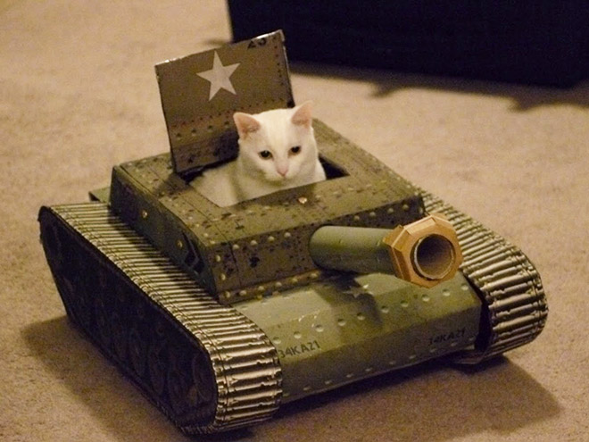 Фотография: 25 забавных фото котов в картонных танках, которые захватили соцсети №14 - BigPicture.ru