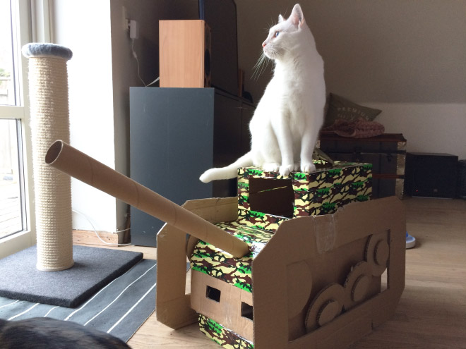 Фотография: 25 забавных фото котов в картонных танках, которые захватили соцсети №15 - BigPicture.ru