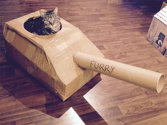 Фотография: 25 забавных фото котов в картонных танках, которые захватили соцсети №21 - BigPicture.ru