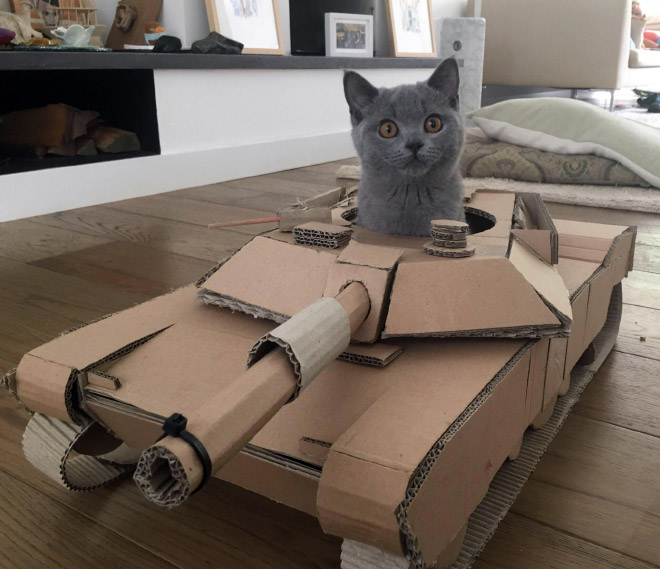 Фотография: 25 забавных фото котов в картонных танках, которые захватили соцсети №4 - BigPicture.ru