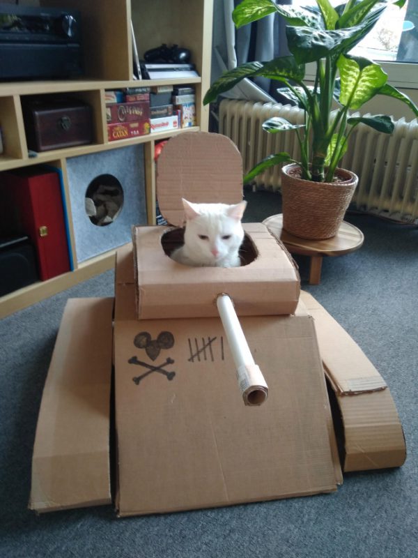Фотография: 25 забавных фото котов в картонных танках, которые захватили соцсети №18 - BigPicture.ru