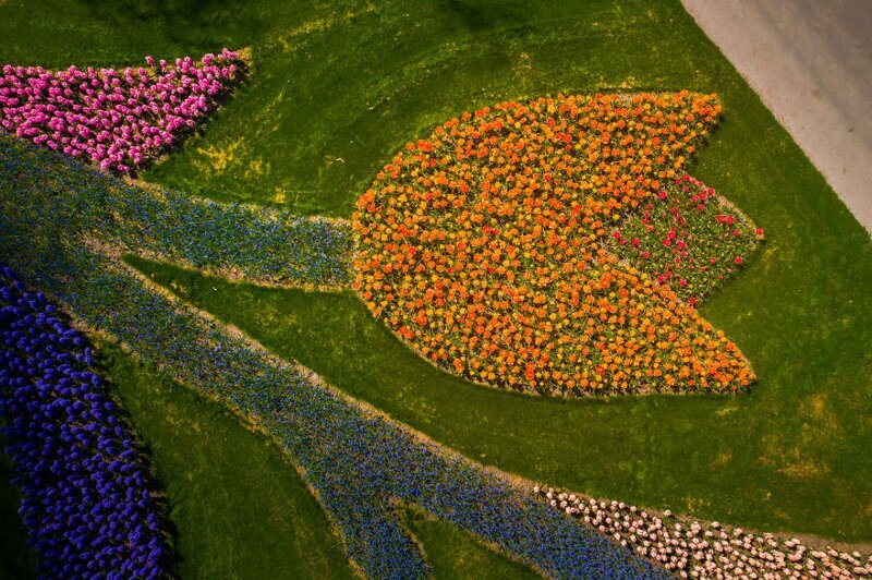 Фотография: Как выглядит самый красивый парк тюльпанов Кёкенхоф без единого посетителя №6 - BigPicture.ru