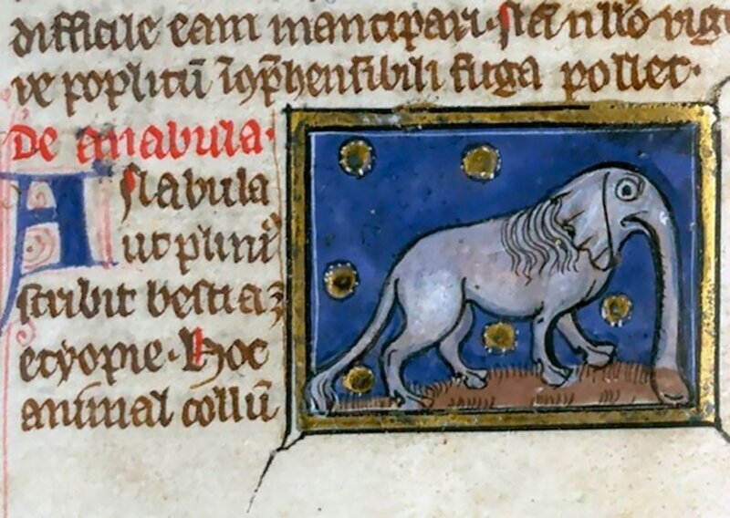 Фотография: Чудище носатое: как в Средневековье рисовали слонов №2 - BigPicture.ru