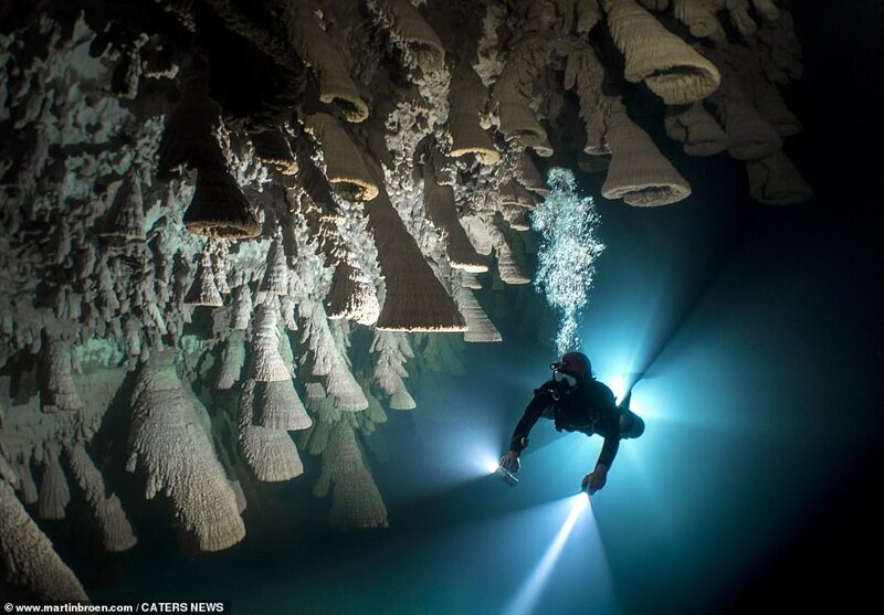Фотография: Дайвер рискует жизнью, делая потрясающие снимки подводных пещер в Мексике №7 - BigPicture.ru