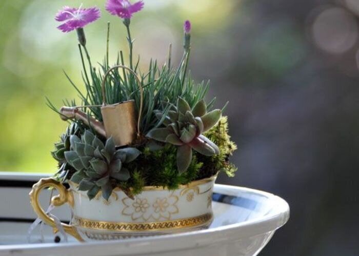 Фотография: Как сделать сад в чайной чашке: 25 креативных идей №22 - BigPicture.ru