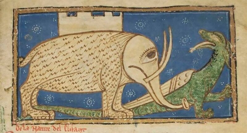 Фотография: Чудище носатое: как в Средневековье рисовали слонов №3 - BigPicture.ru