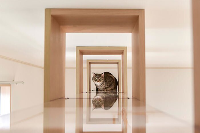 Фотография: Как устроен дом для одиноких кошатников в Японии №16 - BigPicture.ru