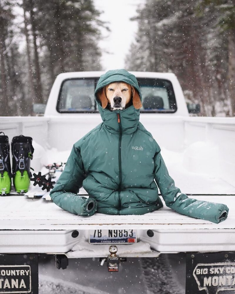 Фотография: Как путешествуют фотограф Терон Хамфри и его собака Мэдди №13 - BigPicture.ru