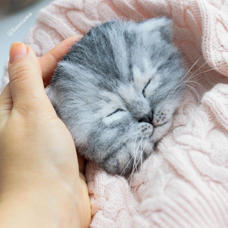 Фотография: Милые котята из войлока от рукодельницы Елизаветы Делекторской №10 - BigPicture.ru