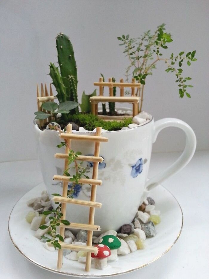 Фотография: Как сделать сад в чайной чашке: 25 креативных идей №3 - BigPicture.ru