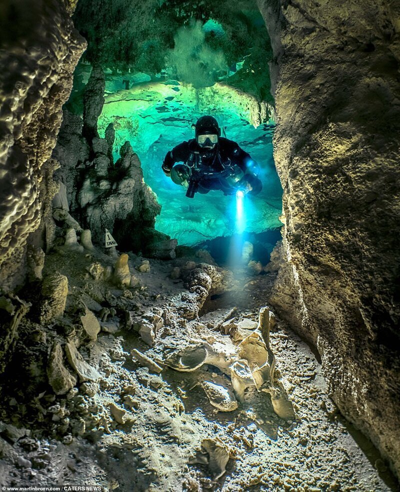 Фотография: Дайвер рискует жизнью, делая потрясающие снимки подводных пещер в Мексике №4 - BigPicture.ru
