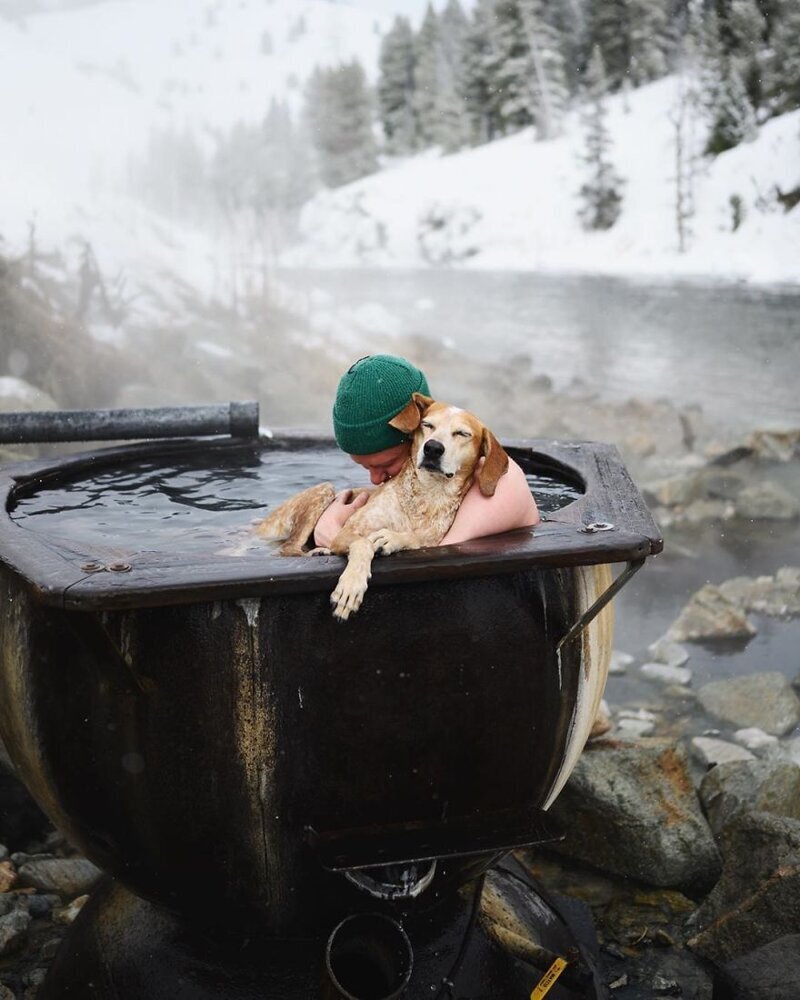 Фотография: Как путешествуют фотограф Терон Хамфри и его собака Мэдди №14 - BigPicture.ru