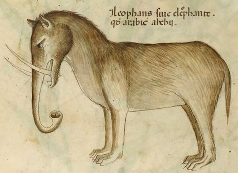 Фотография: Чудище носатое: как в Средневековье рисовали слонов №4 - BigPicture.ru
