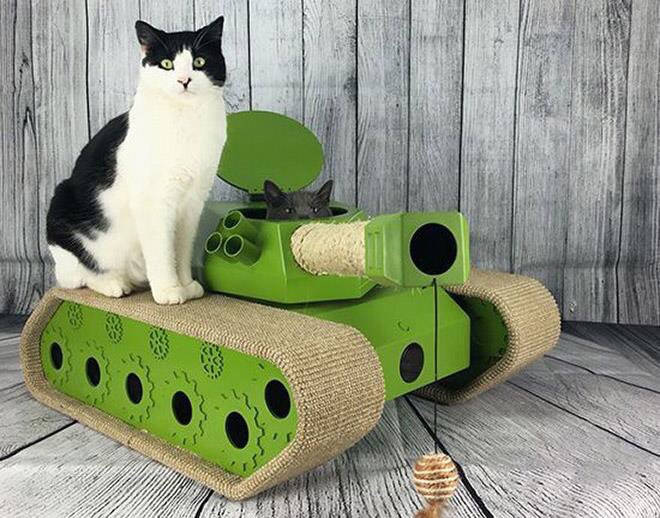 Фотография: 25 забавных фото котов в картонных танках, которые захватили соцсети №23 - BigPicture.ru